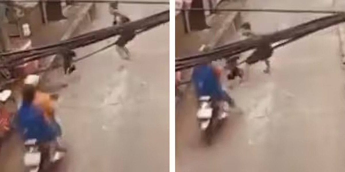 بچی