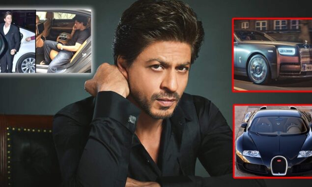 شاہ رخ کتنی