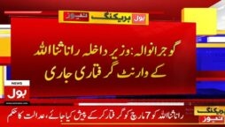 وفاقی وزیر داخلہ رانا ثناء اللہ