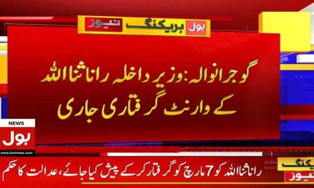 وفاقی وزیر داخلہ رانا ثناء اللہ