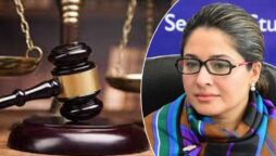 شاندانہ گلزار