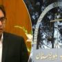 شہباز گل