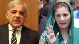 مریم نواز اور شہباز شریف