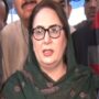 مسرت چیمہ