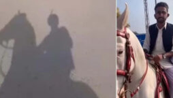 طالبعلم