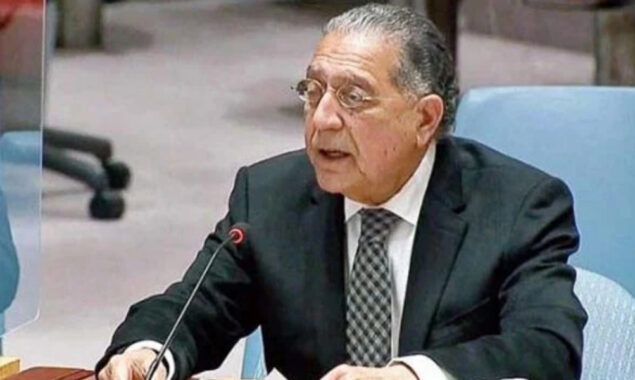 منیر اکرم نے پشتون ثقافت کے حوالے سے متنازع کلمات پر معافی مانگ لی