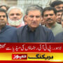 شاہ محمود