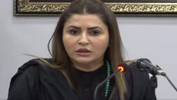 شازیہ مری