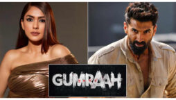 ادیتیا رائے کپور