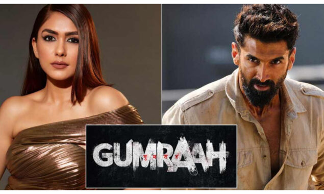 ادیتیا رائے کپور