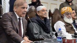 حکمران اتحاد