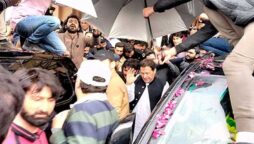 پی ٹی آئی رہنما