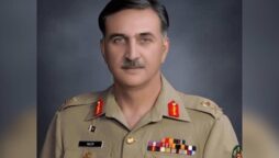 چیئرمین نیب