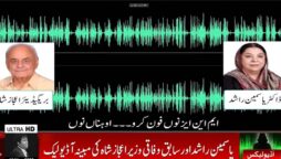 مبینہ آڈیو لیک،
