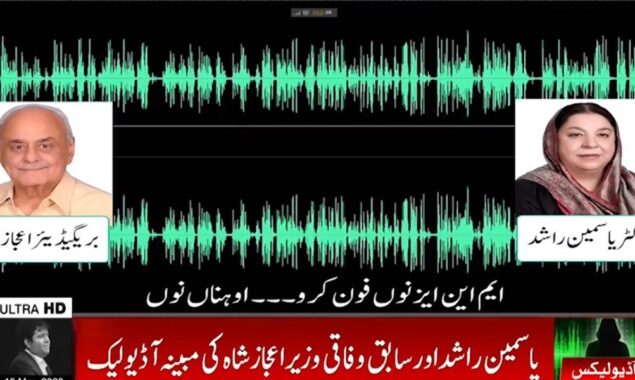 مبینہ آڈیو لیک،