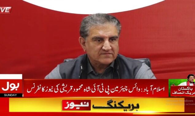 شاہ محمود