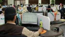 سرکاری نوکری