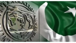 آئی ایم ایف