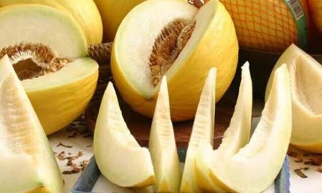 خربوزہ