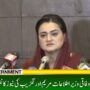مریم اورنگزیب