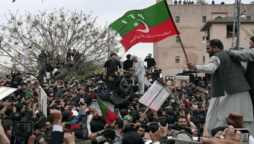 پی ٹی آئی