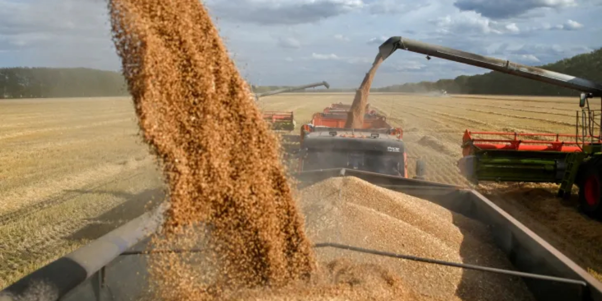 یوکرین سے اجناس ڈیل، روس نے ڈیل میں واپس آنے کے لیے 7 شرائط رکھ دیں