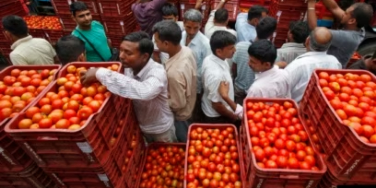 بھارت میں ٹماٹروں کی قلت کے باعث کسان کروڑ پتی بن گئے