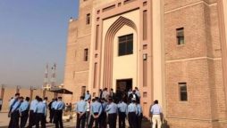 چیئرمین پی ٹی آئی