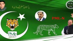 مسلم لیگ ن