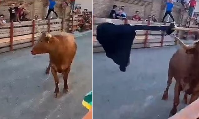 اسپین میں فیسٹیول کےدوران بیل ہجوم پر چڑھ دوڑا