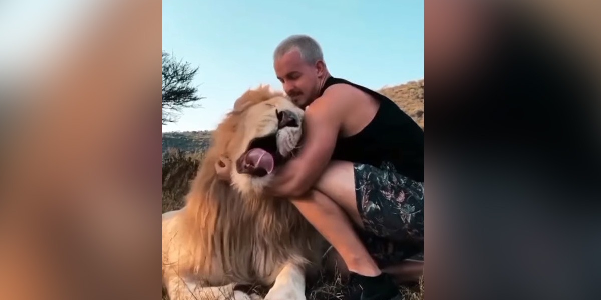 شیر