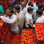 بھارت میں ٹماٹروں کی قلت کے باعث کسان کروڑ پتی بن گئے