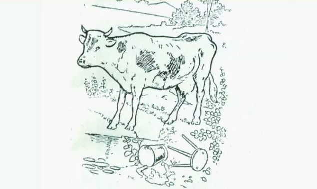 بصارت کا امتحان