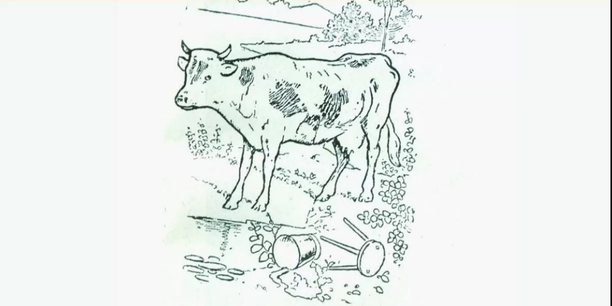 بصارت کا امتحان