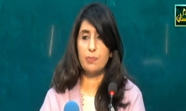 ترجمان دفتر خارجہ