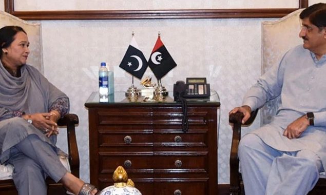 نگران وزیراعلیٰ سندھ