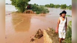 قصور: دریائے ستلج میں اونچے درجے کا سیلاب، درجنوں دیہات متاثر