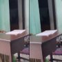 بھارت؛ ہندو استاد نے اسلامو فوبیا کی حد پار کردی، مسلمان طالب علم پر تھپڑوں کی بارش