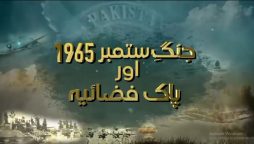 پاک فضائیہ