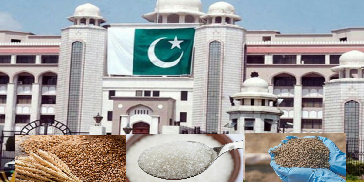 وزیراعظم ہاؤس