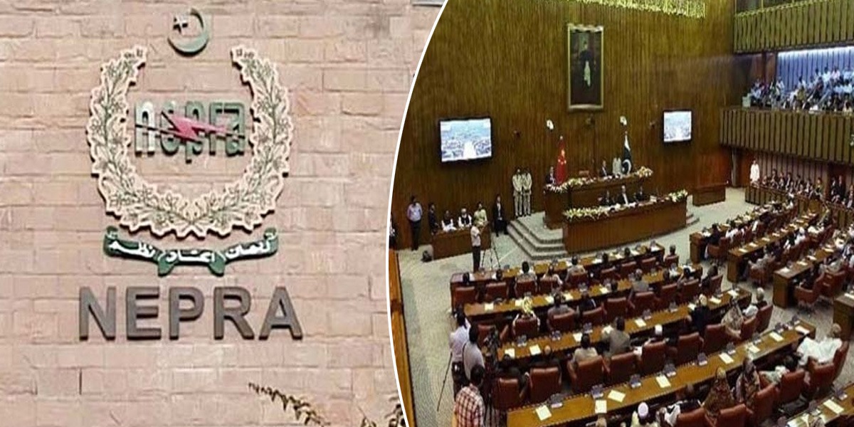 چیئرمین نیپرا