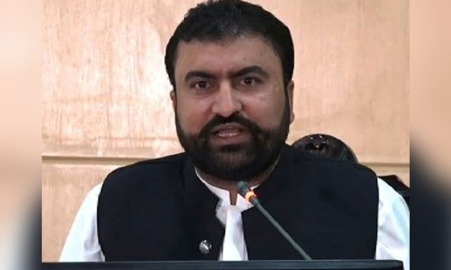 نگراں وفاقی وزیرداخلہ