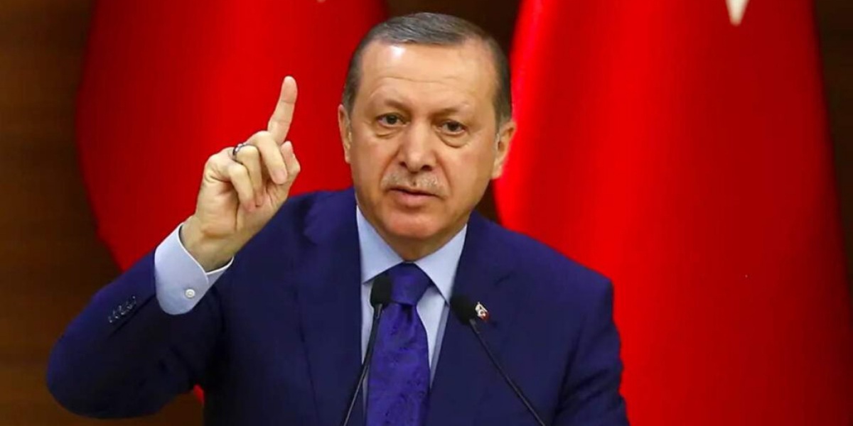 فلسطین پر اسرائیلی حملے وحشیانہ اور جارحیت ہے، ترک صدر