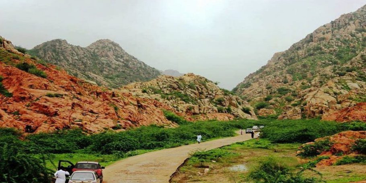 سندھ ہائی کورٹ