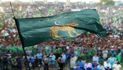 مسلم لیگ (ن)