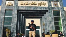 پشاورہائی کورٹ