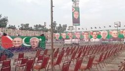 آئی پی پی