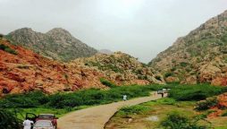 سندھ ہائی کورٹ