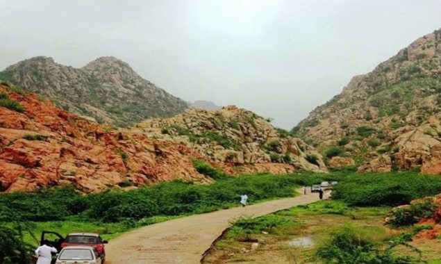 سندھ ہائی کورٹ