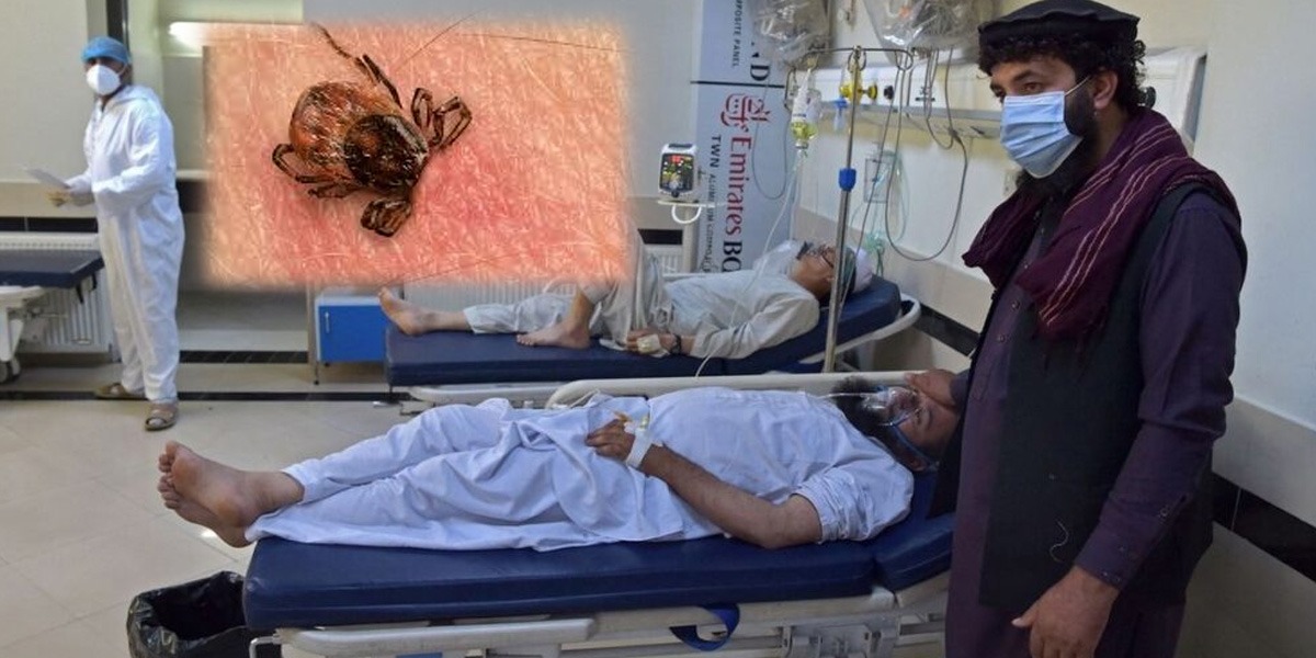 کانگو وائرس